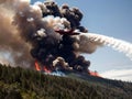 Extinguishing a forest fire using a special firefighting aircraft