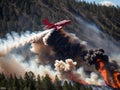 Extinguishing a forest fire using a special firefighting aircraft