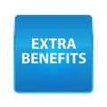 Extra Benefits shiny blue square button