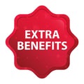 Extra Benefits misty rose red starburst sticker button