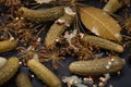 Extra Fine Cornichons - minuscule sour French pickles on natural stone background. Mini French style Gherkin Cucumbers