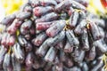 Extra jumbo size of black seedless Moon Drops grape or Witch Fingers grape for sale at the fruit market,