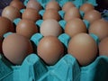 Extra Large Free Range Eggs