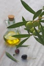 Extra-virgin olive oil bottle and green olivas Royalty Free Stock Photo
