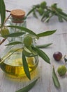Extra-virgin olive oil bottle and green olivas Royalty Free Stock Photo