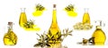 Extra virgin olive oil bottles isolated Royalty Free Stock Photo