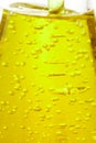 Extra virgin olive oil bubbles Royalty Free Stock Photo