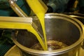 Extra virgin olive oil extraction process in olive oil mill