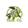 Extra virgin olive oil. Olive branch. Design element for emblem, sign, badge, label. Vector illustration Royalty Free Stock Photo