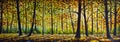 Extra Wide Panorama Of Autumn Tree In Forest Painting Impressionism