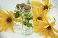 Extract, flowers, ingredient bottle herbal aromatherapy a white wooden background