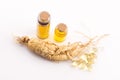 Extract of ginseng root Royalty Free Stock Photo