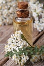 Extract of yarrow in a bottle with flowers vertical macro