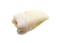 Extracted wisdom tooth isoalted on white