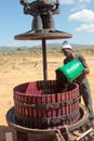 Extracting grape juice with a manual wine press