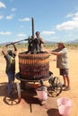 Extracting red grape juice for wine-making Royalty Free Stock Photo