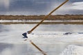 Extracting salt with a scraper at salt pan Royalty Free Stock Photo