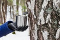 Extraction of birch SAP Royalty Free Stock Photo