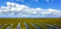 Extraction of new land in the marsh plain of the Wadden Sea at the German North Sea