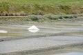 Extraction of salt from sea water in special water intakes. Salt farm. French Atlantic coast