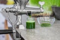 Extraction of Wheatgrass in Action on the Kitchen Countertop using a Manual Juicer Royalty Free Stock Photo