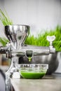 Extraction of Wheatgrass in Action on the Kitchen Countertop using a Manual Juicer Royalty Free Stock Photo