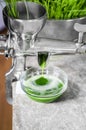 Extraction of Wheatgrass in Action on the Kitchen Countertop using a Manual Juicer Royalty Free Stock Photo