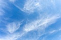 Extraordinarily beautiful natural white cirrus clouds in tall bright blue summer sky close up. Royalty Free Stock Photo