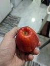 Extraordinarily beautiful red apple on hand