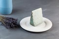 Extraordinarily tasty cheese with lavender flowers. The piece is on a white plate. Gray background, selective focus