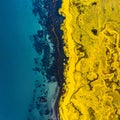Vibrant Yellow Coast Meets Deep Blue Ocean Royalty Free Stock Photo