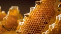 The Extraordinary Triangular Honeycombs of Stingless Bees