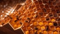 The Extraordinary Triangular Honeycombs of Stingless Bees