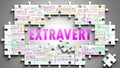 Extravert as a complex subject, related to important topics spreading around as a word cloud