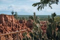 Extreme climate and cactuses in Tatacoa Red Desert Colombia Villavieja Royalty Free Stock Photo