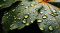 Macro view of dew leaf. Close-up dew drops on orange color midrib leaf in dark outdoor background. AI generated.