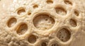 Extreme close-up of active yeast creating intricate bubbles and delicate membranes during the fermentation process, showcasing Royalty Free Stock Photo