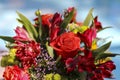 Extreme Close Up of a of a Beautiful Bouquet of Mixed Flowers