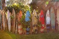 Close-up photo of a strongly backlit surfboard wall on Maui. Royalty Free Stock Photo
