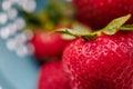 Extreme close up of a bunch of strawberries Royalty Free Stock Photo