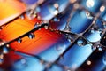 Extreme close up of butterfly wing patterns with vivid colors of scales