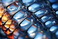 Extreme close up of butterfly wing patterns with vivid colors of scales