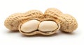 Whole and split peanuts in shell, macro close-up on a clean white studio background Royalty Free Stock Photo