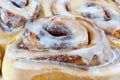 Extreme Close Up of Cinnamon Buns Royalty Free Stock Photo