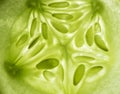 Macro photo of an illuminated lemon cucumber slice.