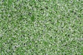 Extreme close up of decorative quartz sand epoxy floor or wall coating with green, grey, white and black coloured particles