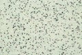 Extreme close up of decorative quartz sand epoxy floor or wall coating with light, pale green, grey, white and black coloured