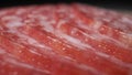 extreme closeup, detailed. salami sausage cut into thin pieces on a wooden board Royalty Free Stock Photo