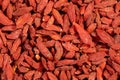 Extreme close up of dried organic goji berry fruits wolfberries. Macro texture food background Royalty Free Stock Photo