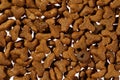 Extreme close up of dry cat or dog food viewed from above. Macro pet food background texture Royalty Free Stock Photo